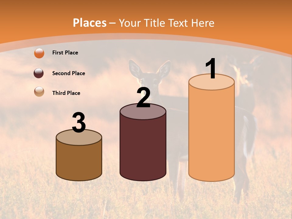 A Couple Of Deer Standing On Top Of A Grass Covered Field PowerPoint Template