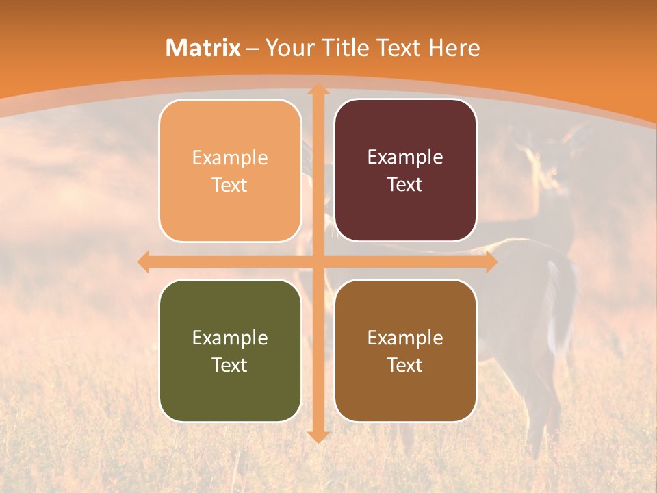 A Couple Of Deer Standing On Top Of A Grass Covered Field PowerPoint Template
