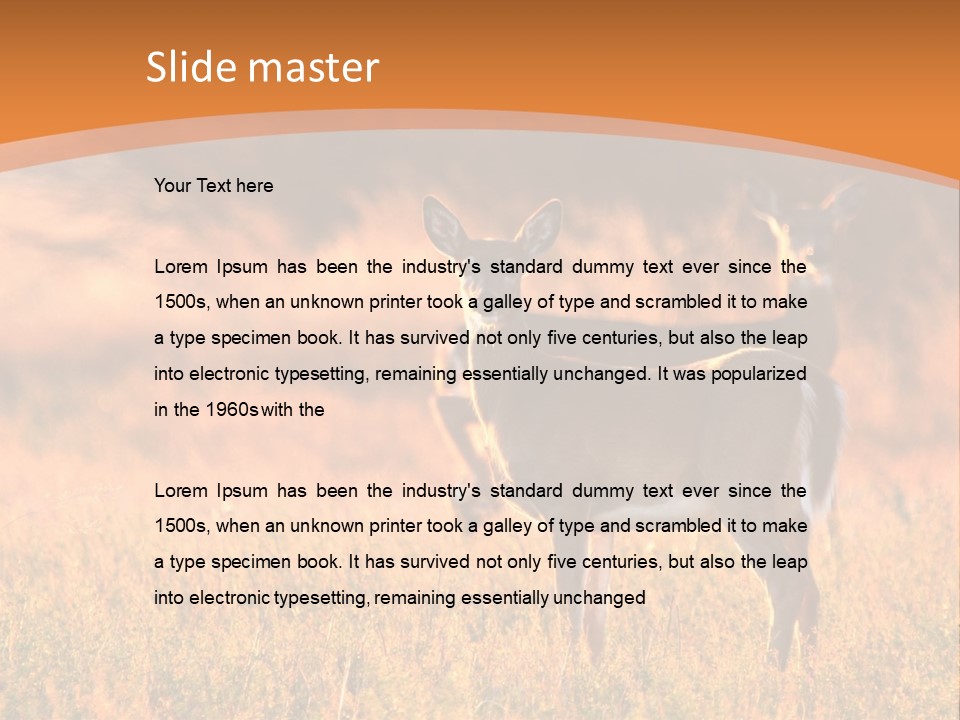 A Couple Of Deer Standing On Top Of A Grass Covered Field PowerPoint Template