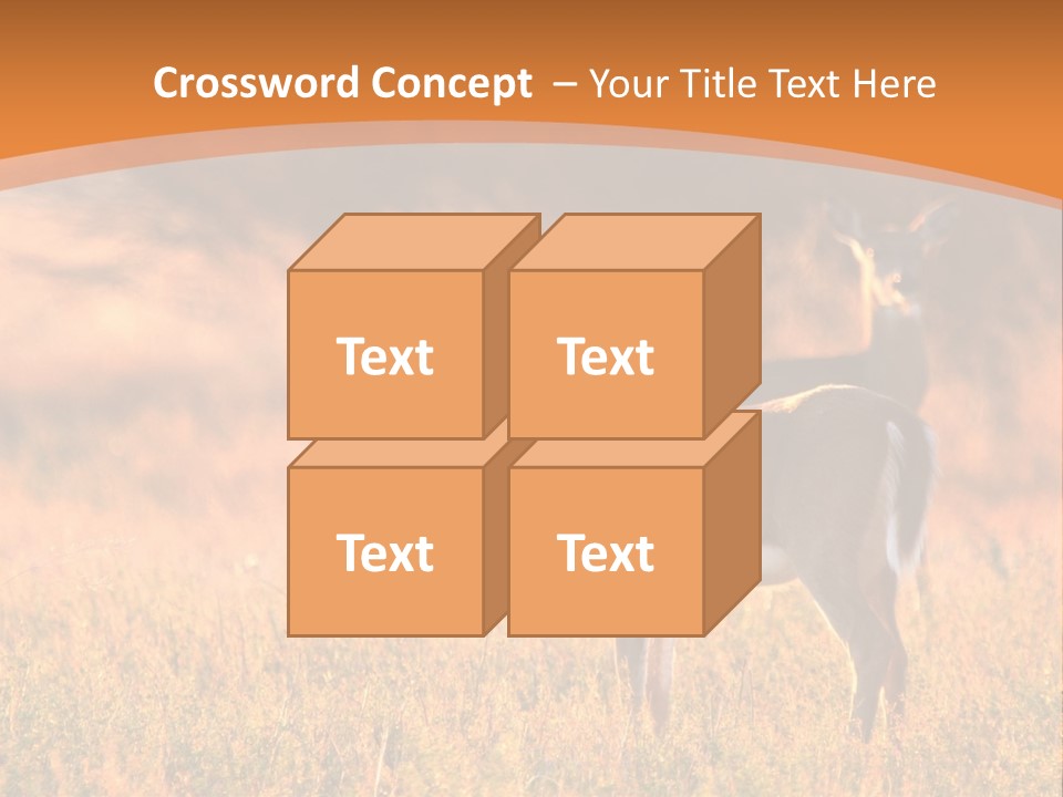 A Couple Of Deer Standing On Top Of A Grass Covered Field PowerPoint Template