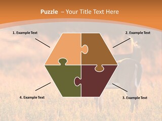 A Couple Of Deer Standing On Top Of A Grass Covered Field PowerPoint Template