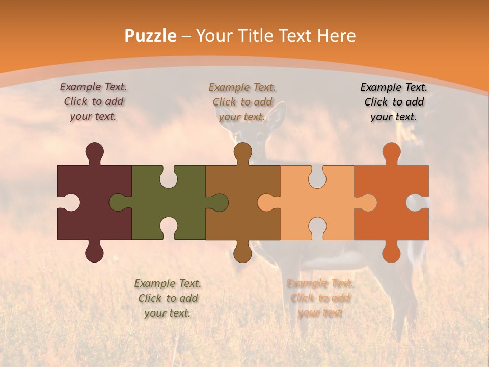 A Couple Of Deer Standing On Top Of A Grass Covered Field PowerPoint Template