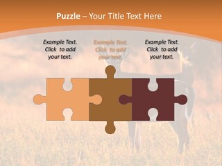 A Couple Of Deer Standing On Top Of A Grass Covered Field PowerPoint Template