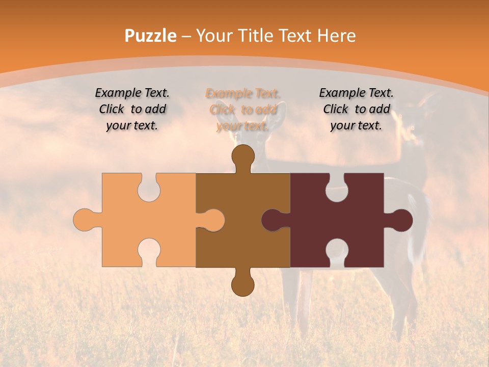 A Couple Of Deer Standing On Top Of A Grass Covered Field PowerPoint Template