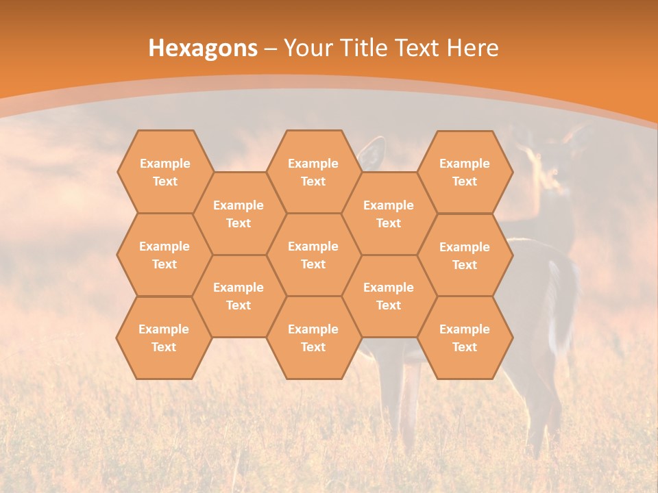 A Couple Of Deer Standing On Top Of A Grass Covered Field PowerPoint Template