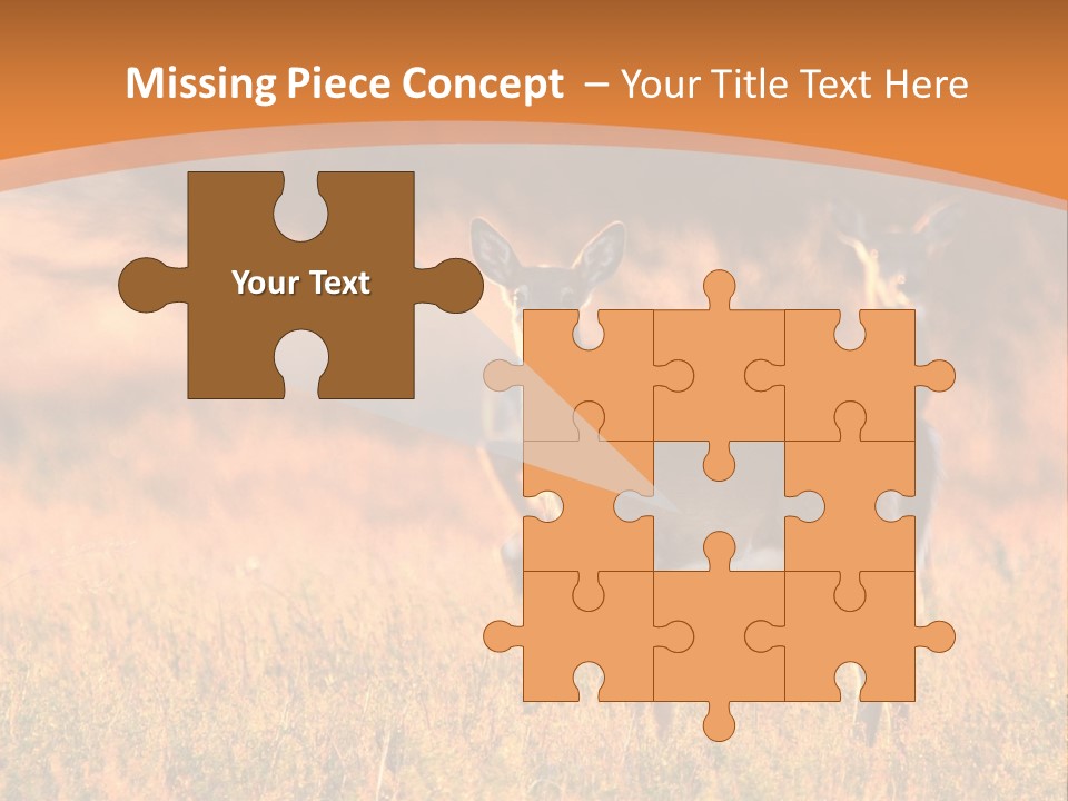 A Couple Of Deer Standing On Top Of A Grass Covered Field PowerPoint Template