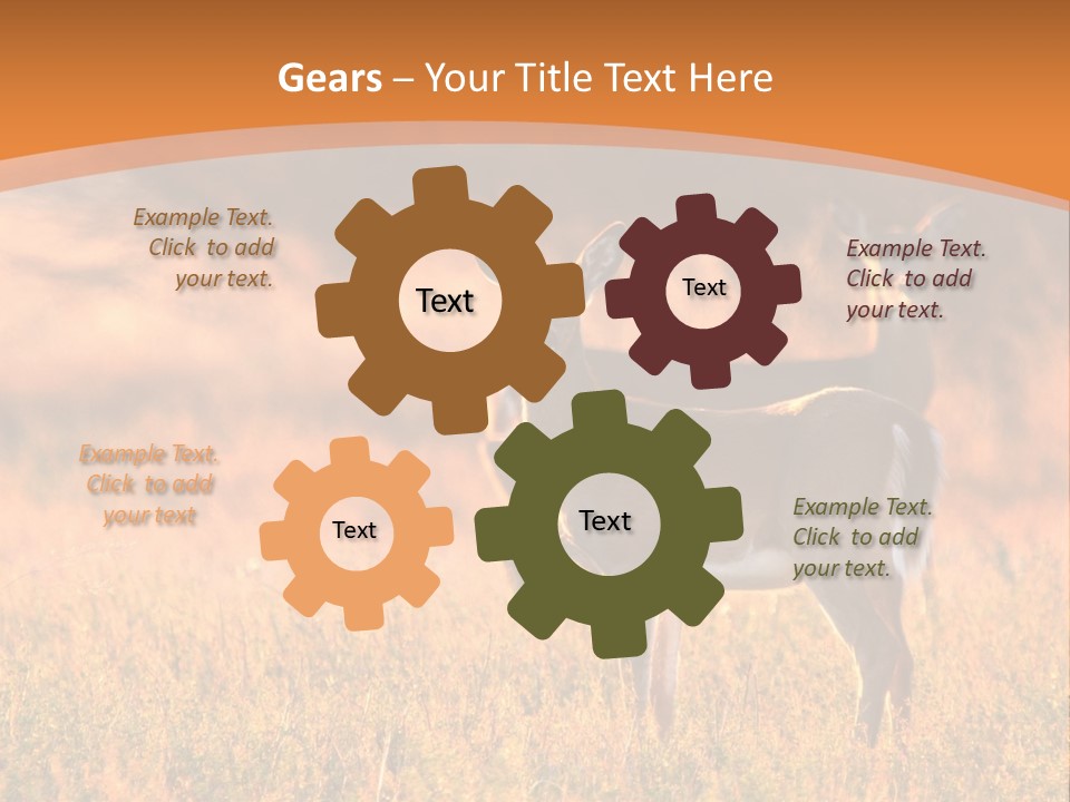 A Couple Of Deer Standing On Top Of A Grass Covered Field PowerPoint Template