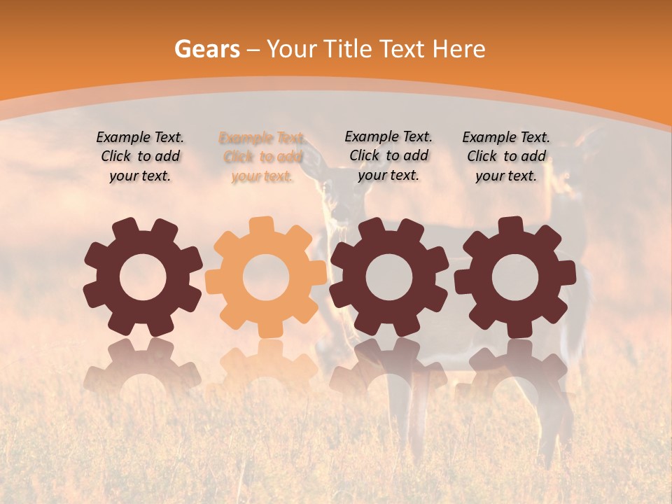 A Couple Of Deer Standing On Top Of A Grass Covered Field PowerPoint Template