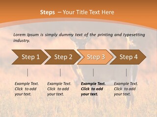 A Couple Of Deer Standing On Top Of A Grass Covered Field PowerPoint Template