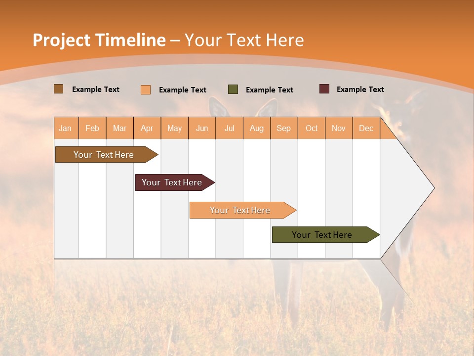 A Couple Of Deer Standing On Top Of A Grass Covered Field PowerPoint Template