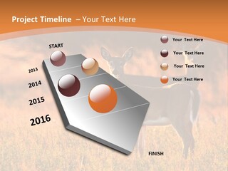 A Couple Of Deer Standing On Top Of A Grass Covered Field PowerPoint Template