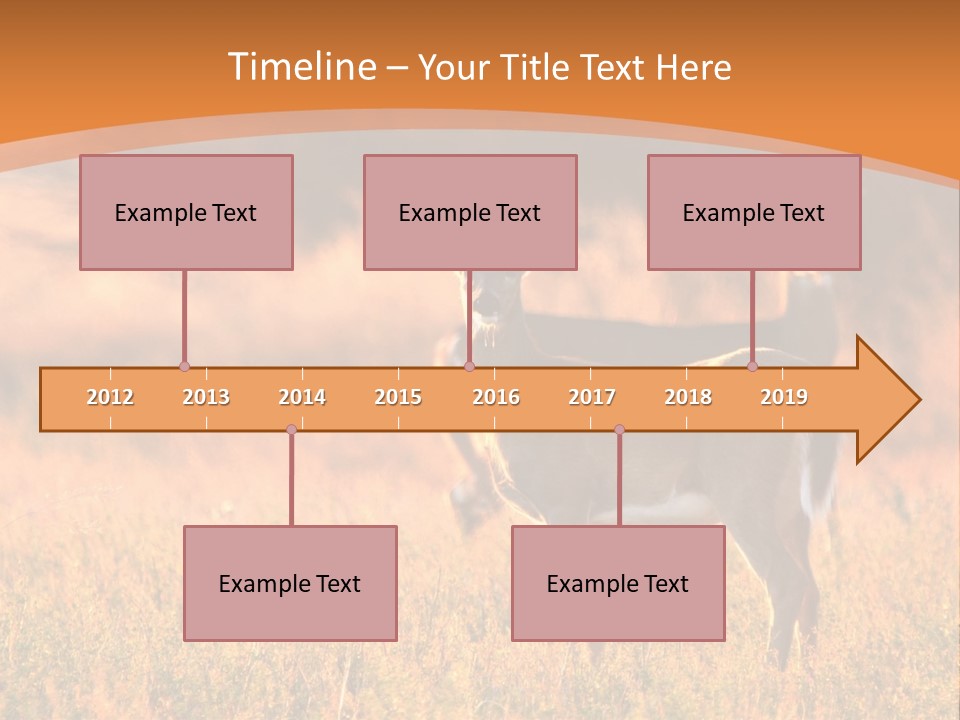 A Couple Of Deer Standing On Top Of A Grass Covered Field PowerPoint Template