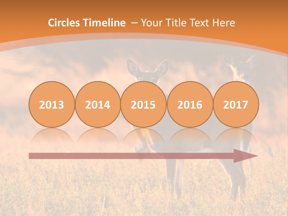 A Couple Of Deer Standing On Top Of A Grass Covered Field PowerPoint Template