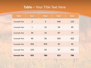 A Couple Of Deer Standing On Top Of A Grass Covered Field PowerPoint Template