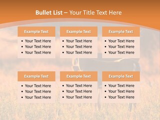 A Couple Of Deer Standing On Top Of A Grass Covered Field PowerPoint Template