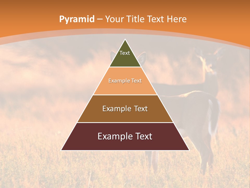 A Couple Of Deer Standing On Top Of A Grass Covered Field PowerPoint Template