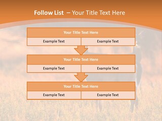 A Couple Of Deer Standing On Top Of A Grass Covered Field PowerPoint Template