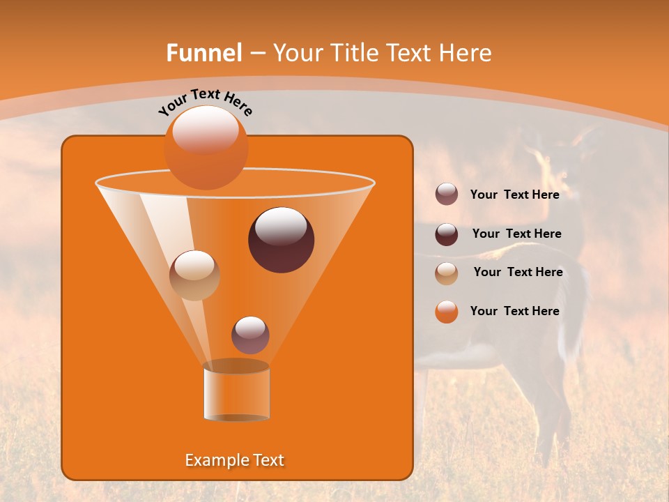 A Couple Of Deer Standing On Top Of A Grass Covered Field PowerPoint Template