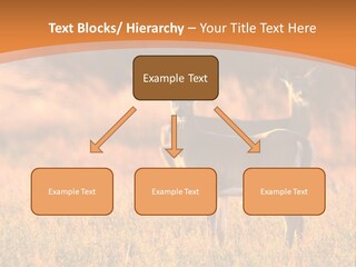 A Couple Of Deer Standing On Top Of A Grass Covered Field PowerPoint Template