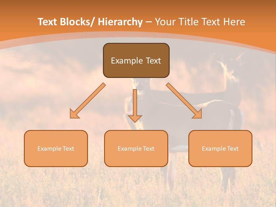 A Couple Of Deer Standing On Top Of A Grass Covered Field PowerPoint Template