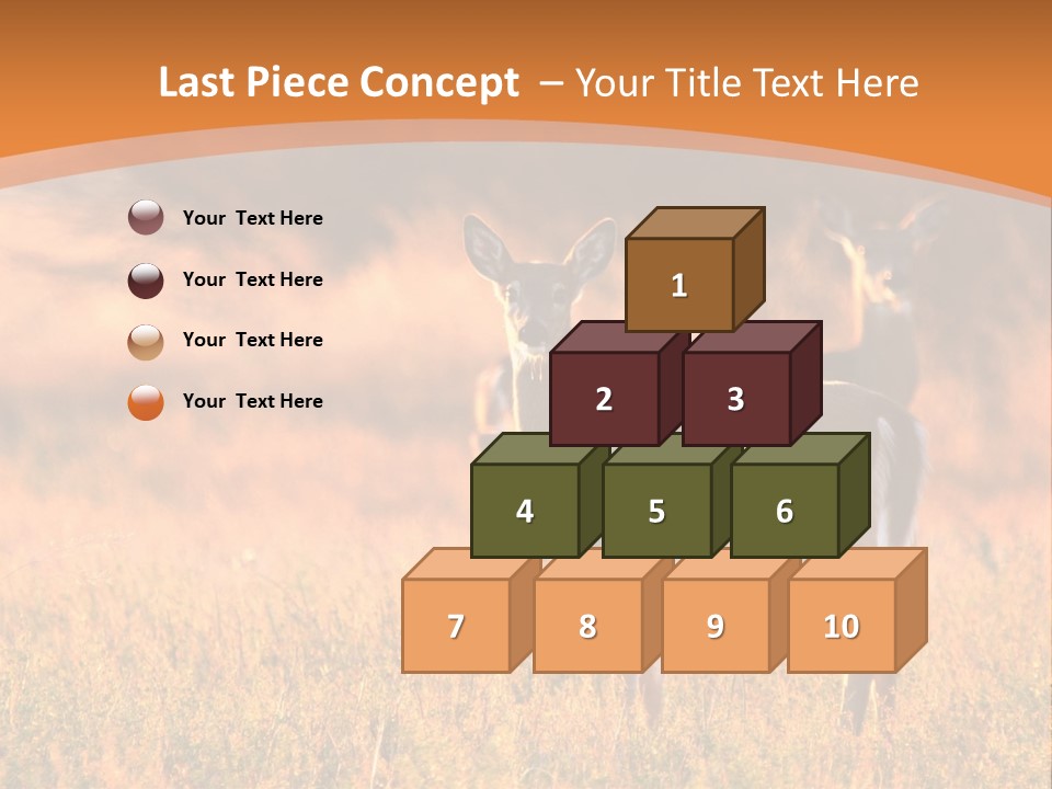 A Couple Of Deer Standing On Top Of A Grass Covered Field PowerPoint Template