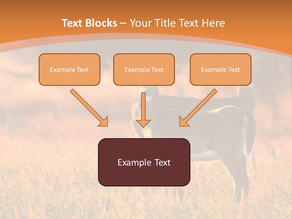 A Couple Of Deer Standing On Top Of A Grass Covered Field PowerPoint Template