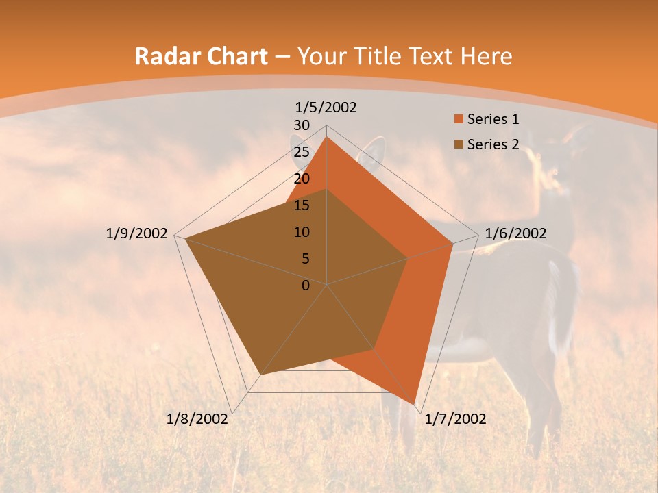 A Couple Of Deer Standing On Top Of A Grass Covered Field PowerPoint Template