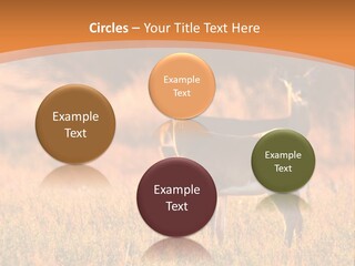 A Couple Of Deer Standing On Top Of A Grass Covered Field PowerPoint Template