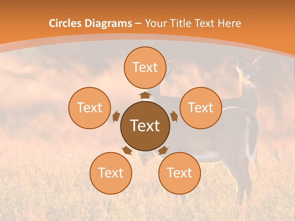 A Couple Of Deer Standing On Top Of A Grass Covered Field PowerPoint Template