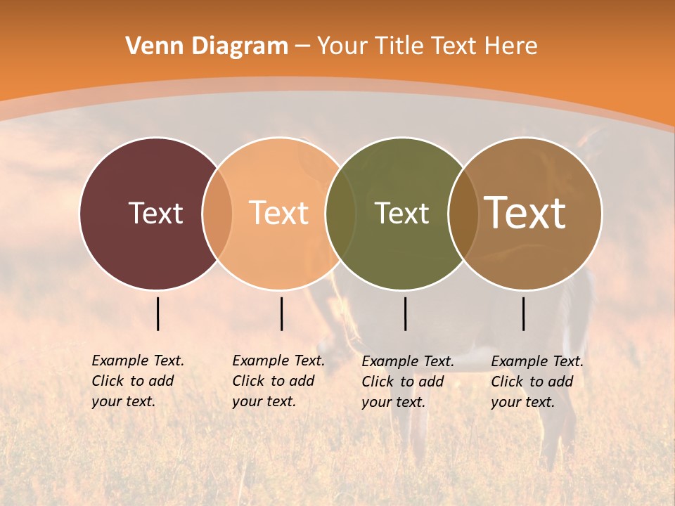 A Couple Of Deer Standing On Top Of A Grass Covered Field PowerPoint Template