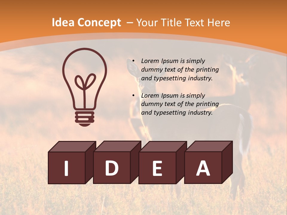 A Couple Of Deer Standing On Top Of A Grass Covered Field PowerPoint Template