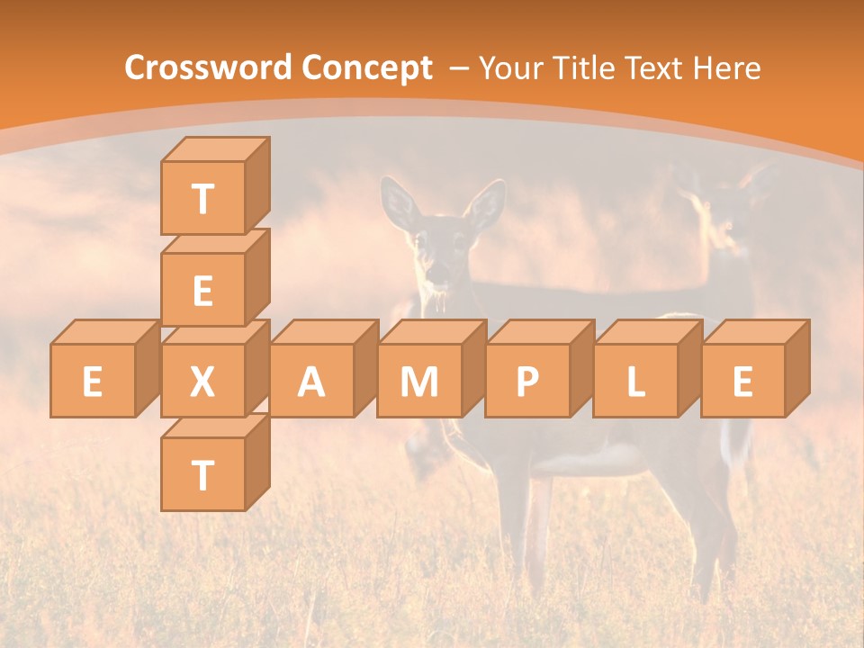 A Couple Of Deer Standing On Top Of A Grass Covered Field PowerPoint Template