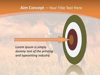 A Couple Of Deer Standing On Top Of A Grass Covered Field PowerPoint Template