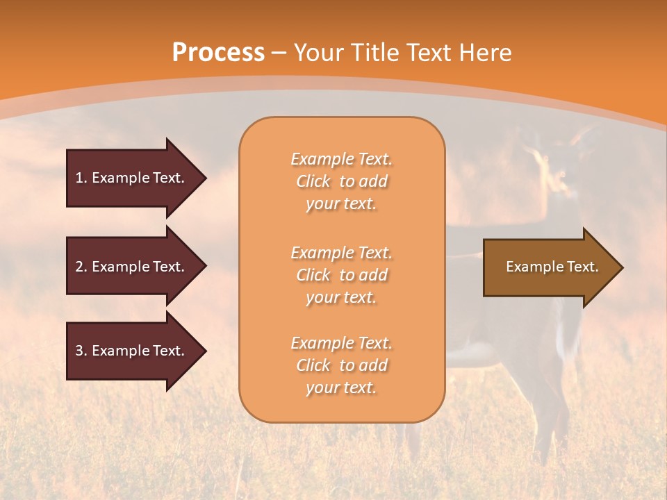 A Couple Of Deer Standing On Top Of A Grass Covered Field PowerPoint Template
