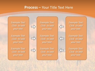 A Couple Of Deer Standing On Top Of A Grass Covered Field PowerPoint Template