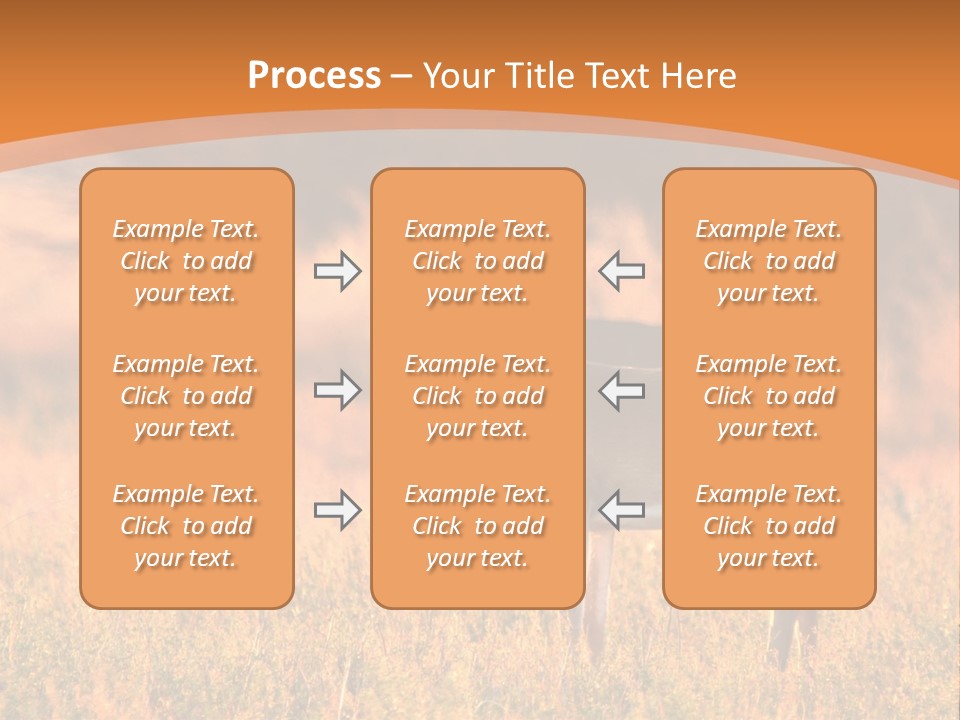 A Couple Of Deer Standing On Top Of A Grass Covered Field PowerPoint Template