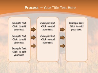 A Couple Of Deer Standing On Top Of A Grass Covered Field PowerPoint Template