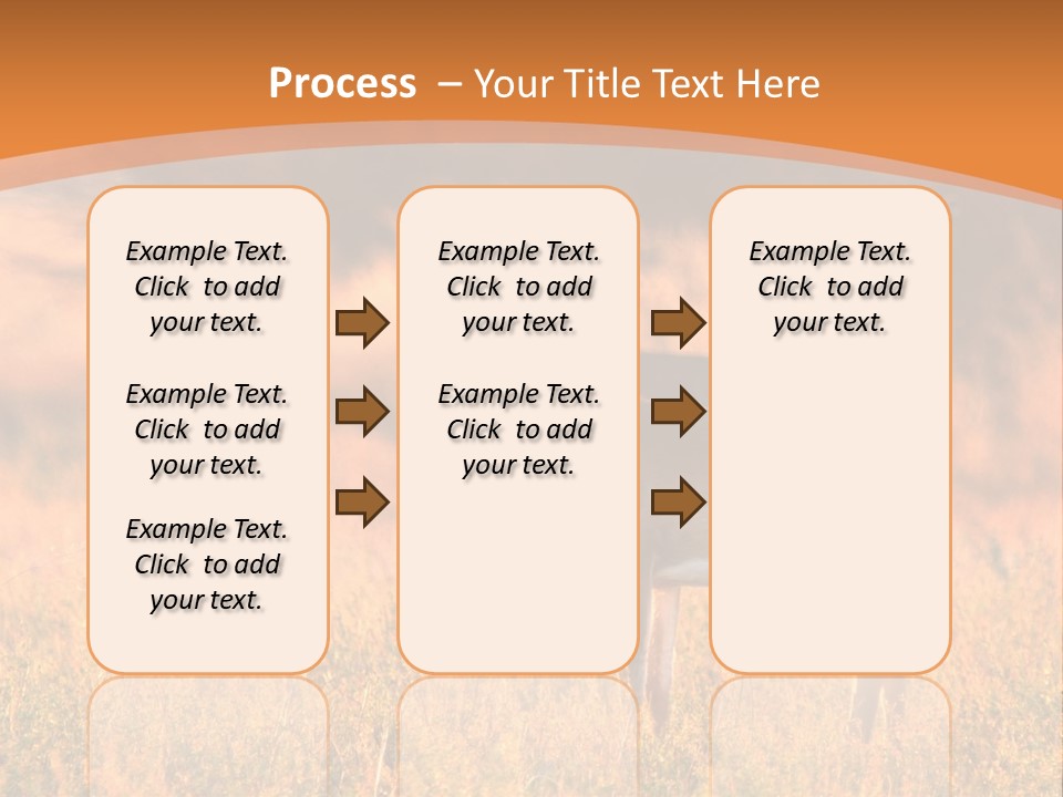 A Couple Of Deer Standing On Top Of A Grass Covered Field PowerPoint Template
