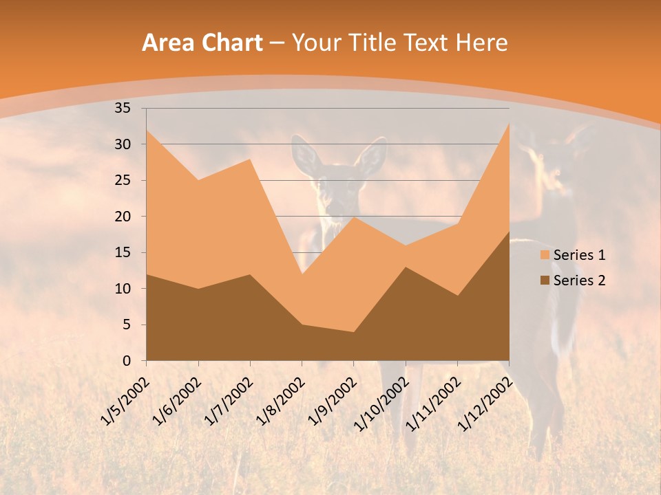 A Couple Of Deer Standing On Top Of A Grass Covered Field PowerPoint Template