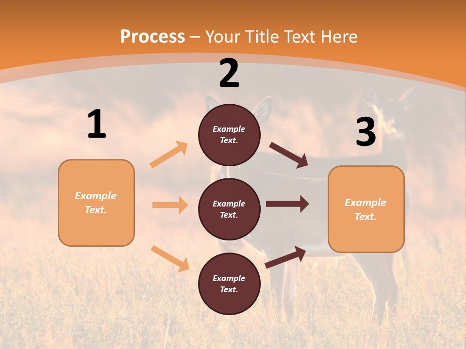 A Couple Of Deer Standing On Top Of A Grass Covered Field PowerPoint Template