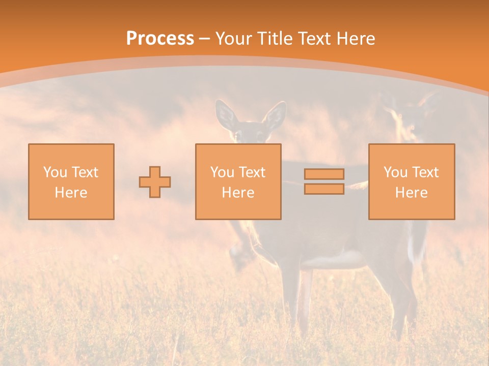 A Couple Of Deer Standing On Top Of A Grass Covered Field PowerPoint Template