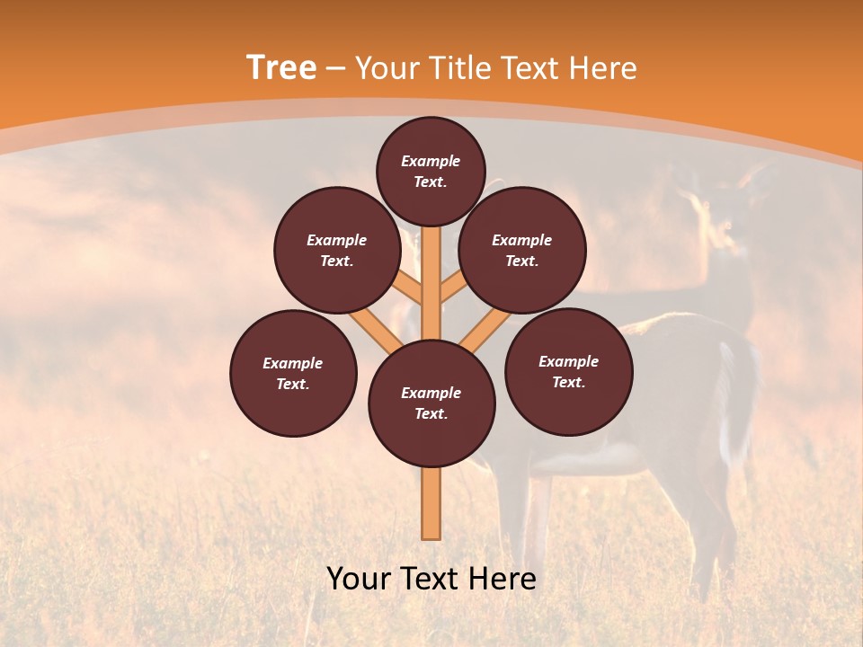 A Couple Of Deer Standing On Top Of A Grass Covered Field PowerPoint Template