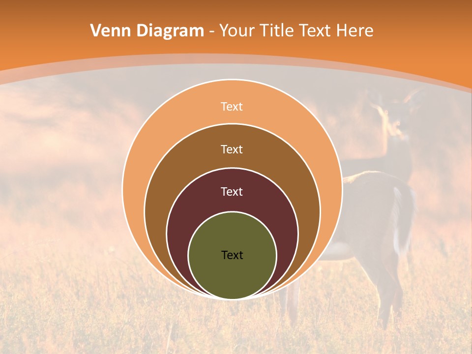 A Couple Of Deer Standing On Top Of A Grass Covered Field PowerPoint Template