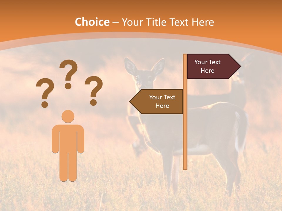 A Couple Of Deer Standing On Top Of A Grass Covered Field PowerPoint Template