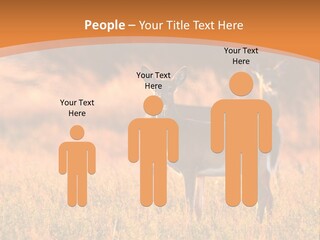 A Couple Of Deer Standing On Top Of A Grass Covered Field PowerPoint Template