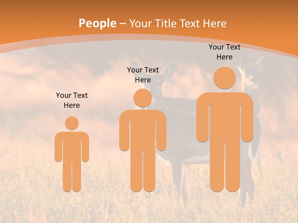 A Couple Of Deer Standing On Top Of A Grass Covered Field PowerPoint Template