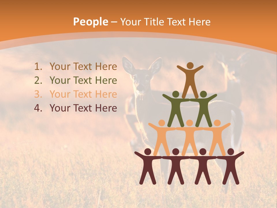 A Couple Of Deer Standing On Top Of A Grass Covered Field PowerPoint Template