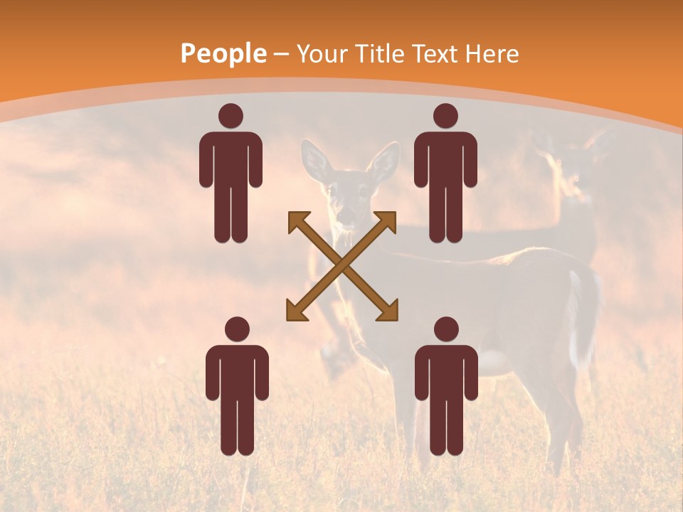 A Couple Of Deer Standing On Top Of A Grass Covered Field PowerPoint Template