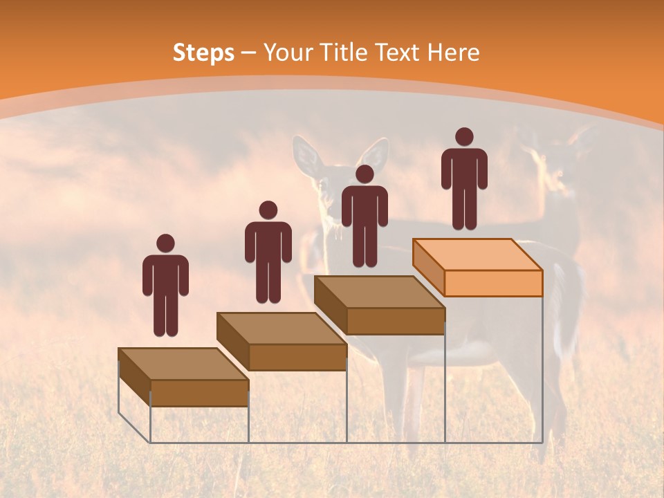 A Couple Of Deer Standing On Top Of A Grass Covered Field PowerPoint Template