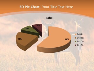 A Couple Of Deer Standing On Top Of A Grass Covered Field PowerPoint Template
